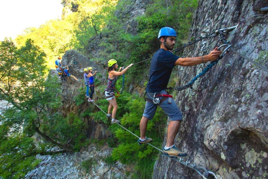 Les Cruses * Ribes